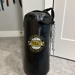 Everlast Small Punching Bag