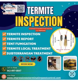 Termite treatment Gel free