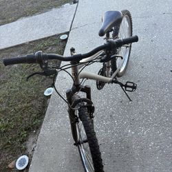 Bicycle 26” Road master 