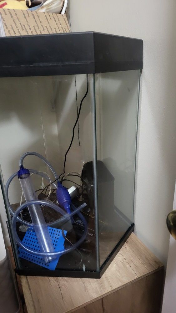20 Gallon Aquarium