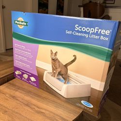 Automatic Litter Box