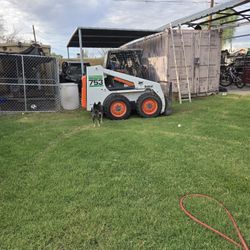 753 Bobcat Diesel