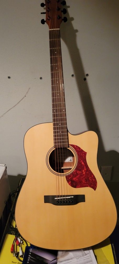 Donner guitar 