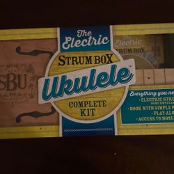 The Electric Strum Box 