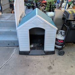 Dog House 