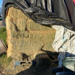 Alfalfa / Bermuda Mix # 2