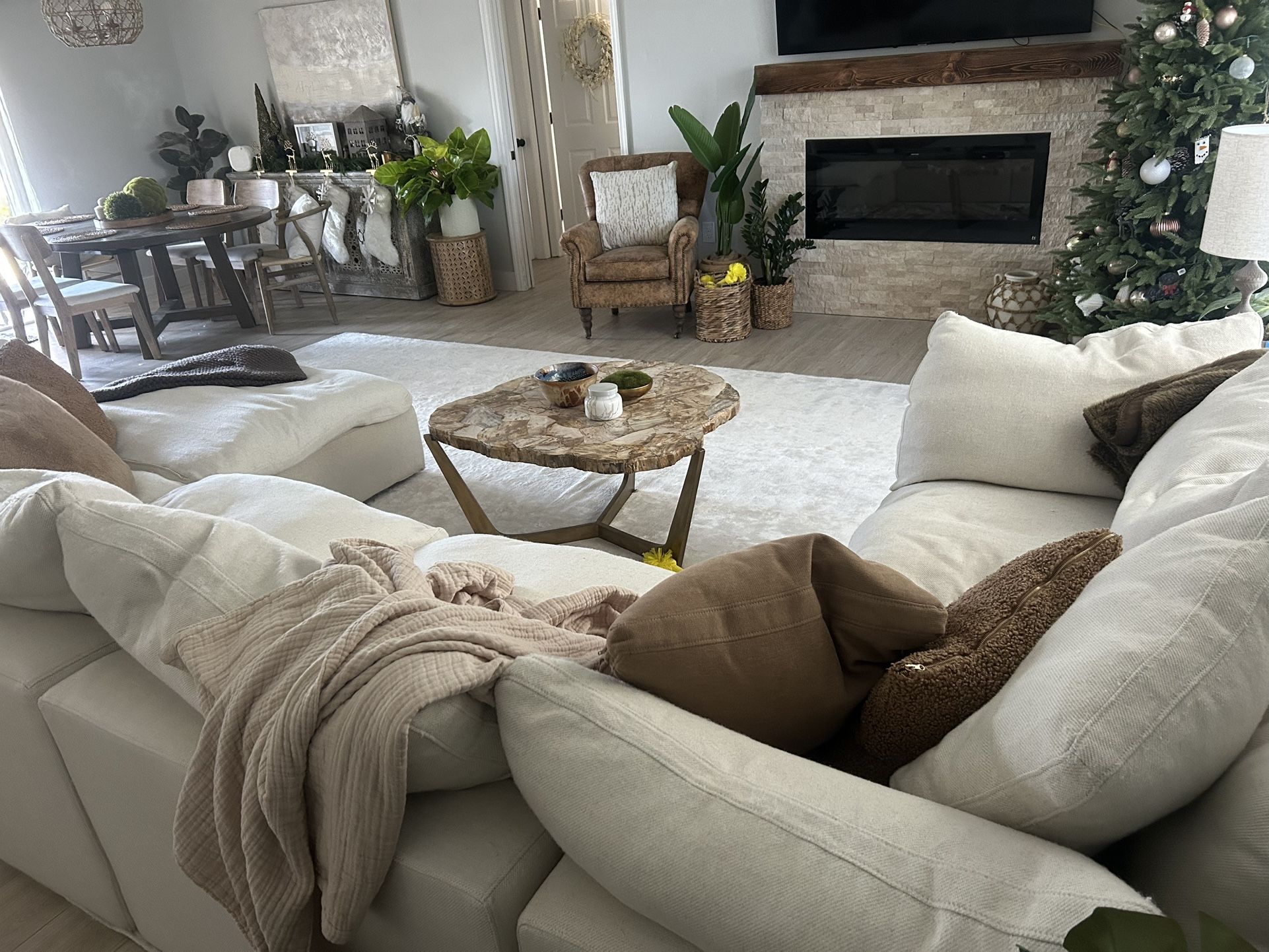 Petrified Wood Coffee Table 