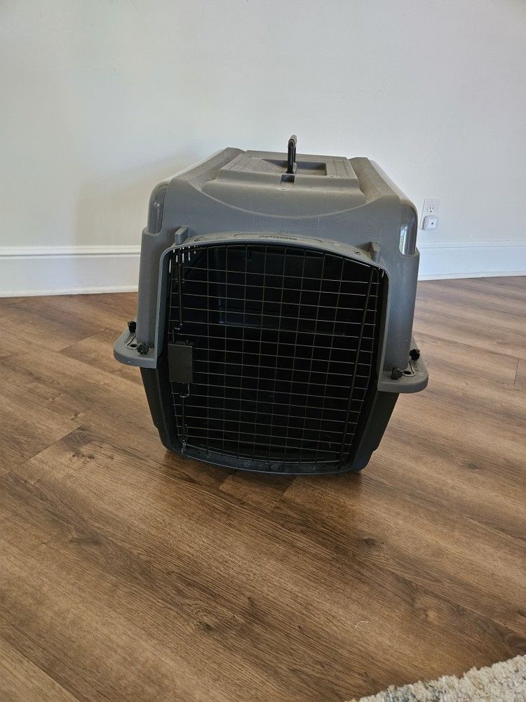 Hard Sided Small Dog Travel Carrier