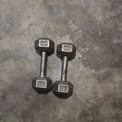 12 Lb Dumbbells 