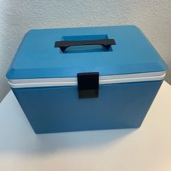 Koolatron P10 Cooler