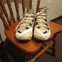 A Pair Of Jays 