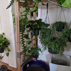 5/8/21 - Plant Mother’s Day Pottery Sale - Get Her to the Mom Zone