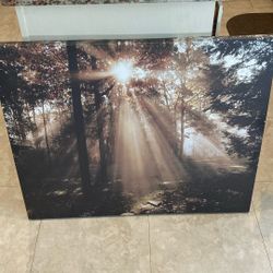 Canvas Photo