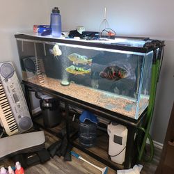 100 Gal Fish Tank