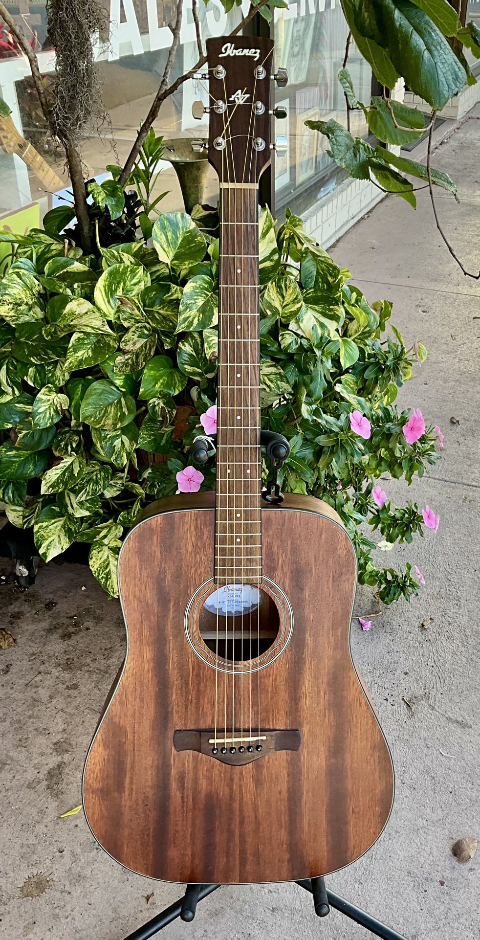 Ibanez AW54OPN Artwood Okoume Open Pore Dreadnought Acoustic Guitar