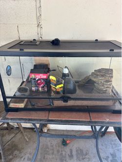 Tank  for lizard or any creature