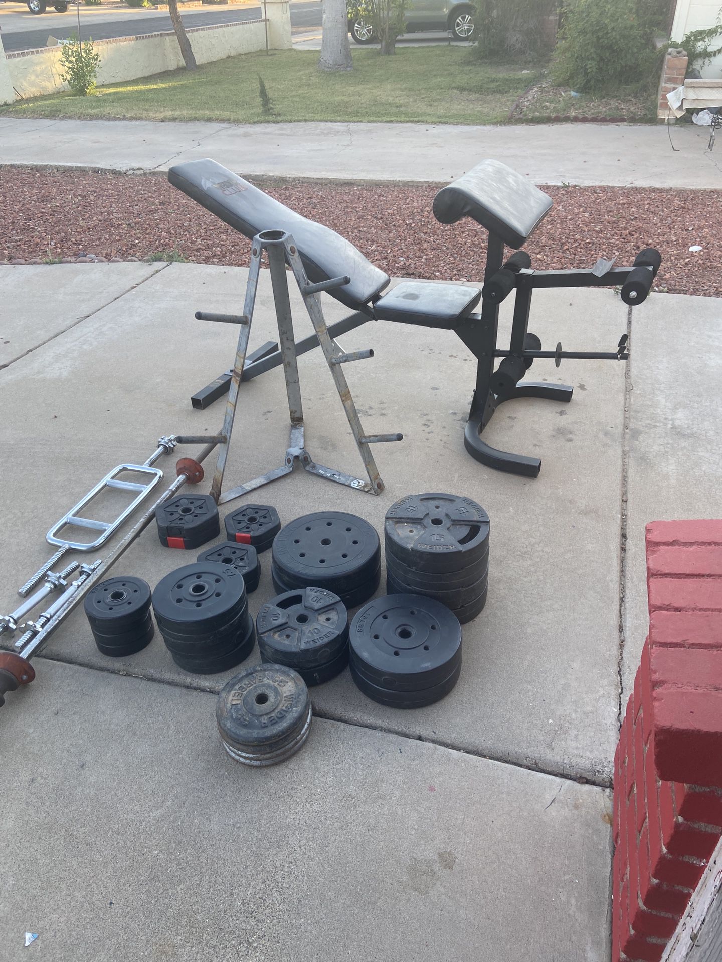 Weight Lifting Bundle Package -weights/bench /tree