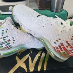 Nike LeBron XVII