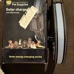 Led Dog Collar .. Size Large 