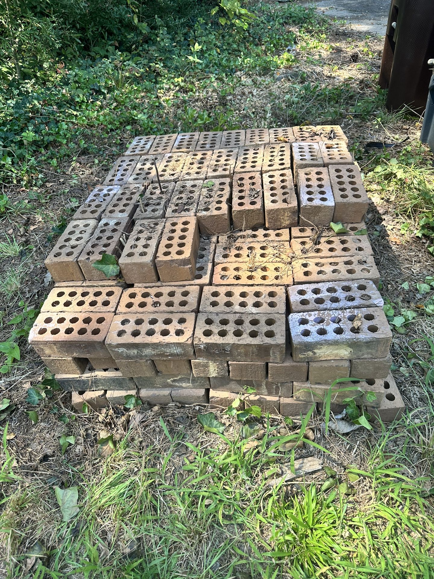 Bricks. 50 Cents Each