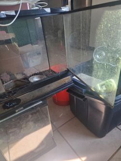 Zoo Med Glass Reptile Terrarium Tank