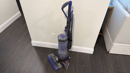 Dyson Ball Animal 2 - missing spinner brush