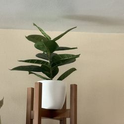 faux plant and stand
