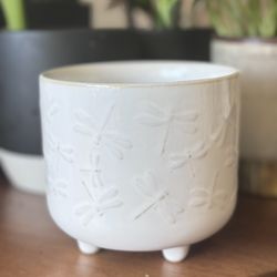 Dragonfly Planter