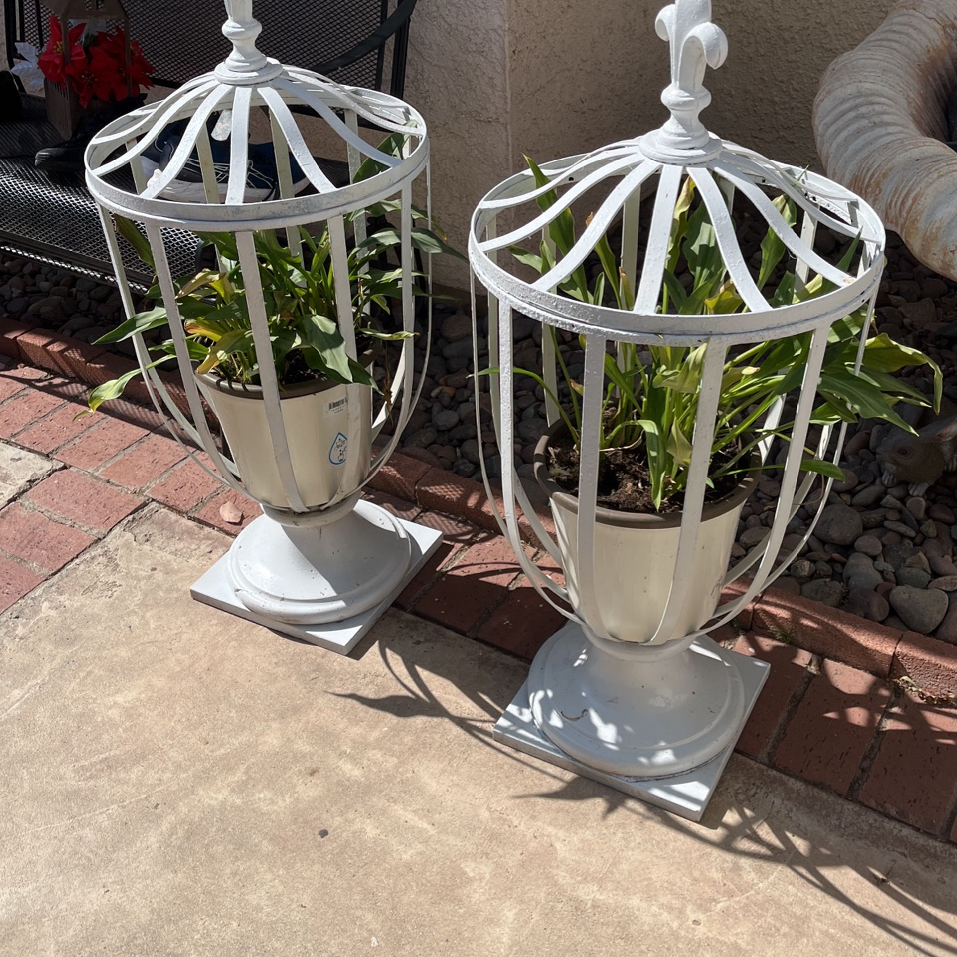 2 Plants And Metal Stand 