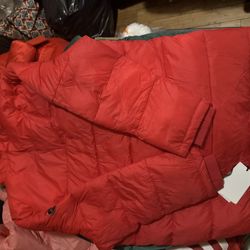 Ugg Jacket 