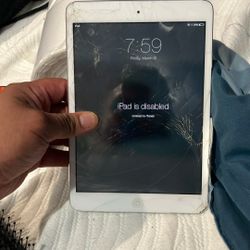iPad Mini