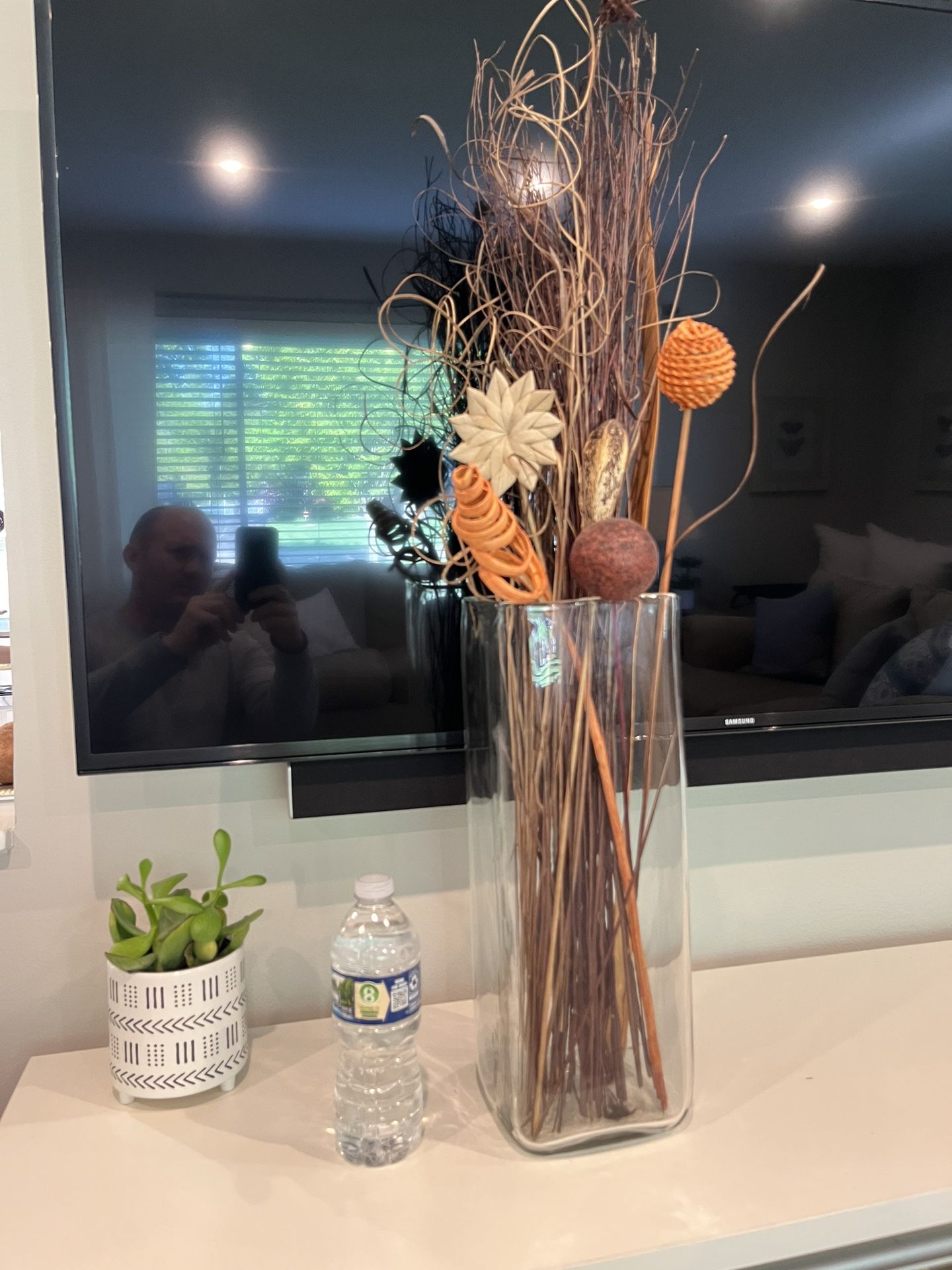 Decorative plants / vase filler / Vases