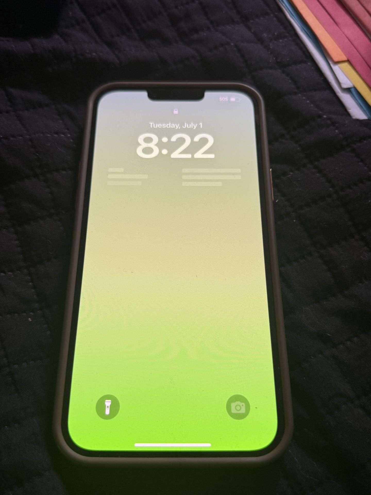 iPhone 13 Pro Max