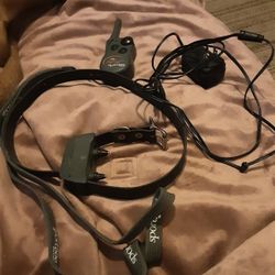 Sport Dog Brand Trainer