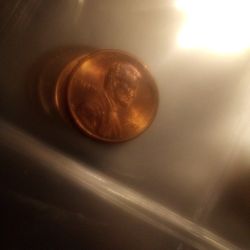 320 Coins At 4 Dollars A Coin About Uncirculated To Mint Ungraded 1250 Firm
