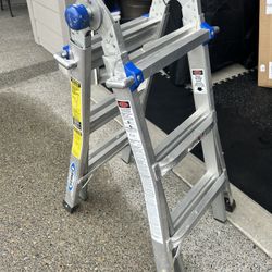 Werner Aluminum Ladder