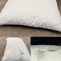 LIKE NEW！Live Comfortably White Pillow 20x28