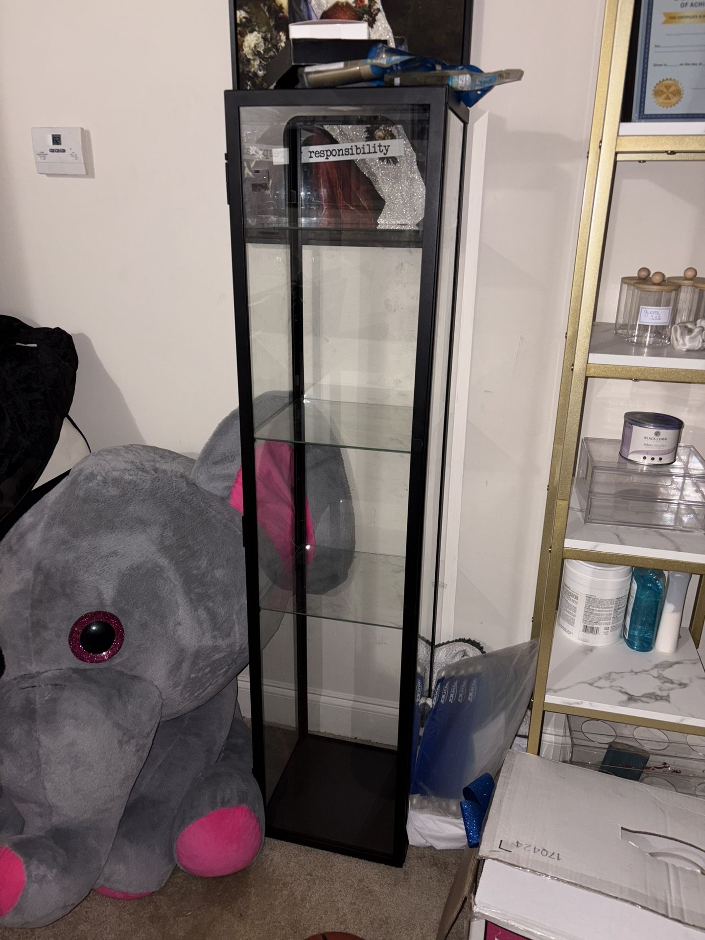 Display Shelf