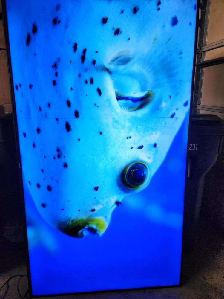 Hisense 75 Inchs "Clase LED 4K LED Inteligente Androide UHD H65 Serie 75H6570G