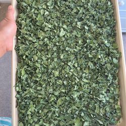 Dried moringa leaves 