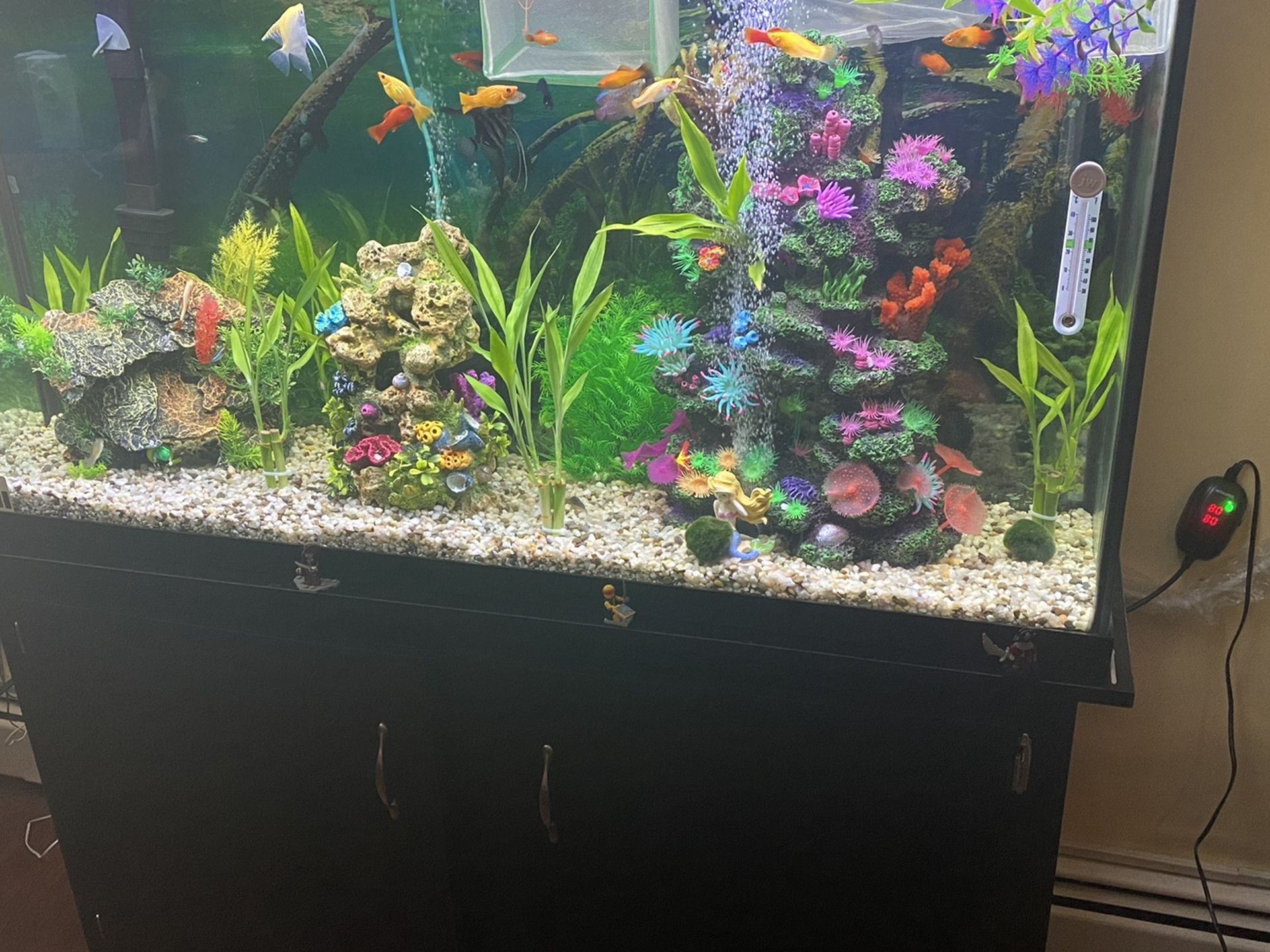 60 Gallon Fish Tank With Stand
