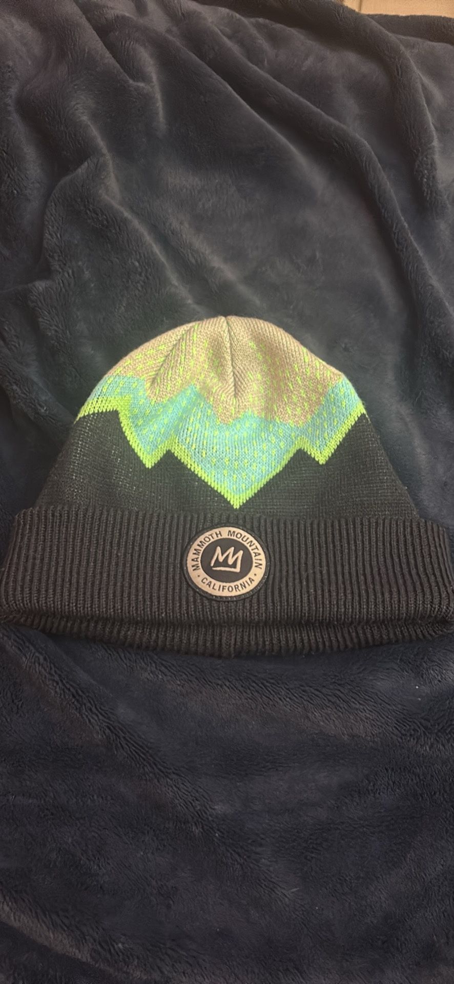 Mammoth Beanie