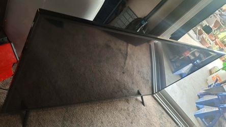 Vizio 55 in $100 OBO