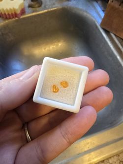 Spessertine Garnet Pair