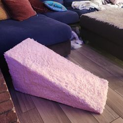 Dog or Cat Ramp..