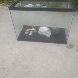 20 Gallon Aquarium With Black Sand