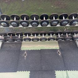 Dumbbells And Rack