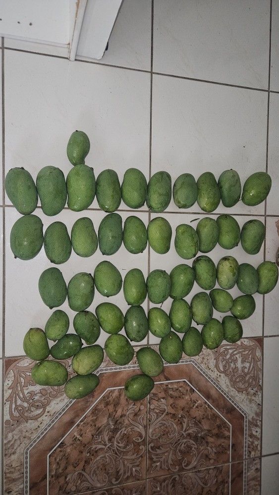 Large, Medium, small Organic Mangos $1.5, $1.00, 0.50 Each