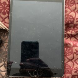iPad Mini Cracked Screen/works