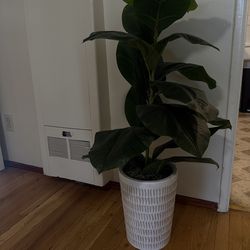 Plant fake 40 inches tall